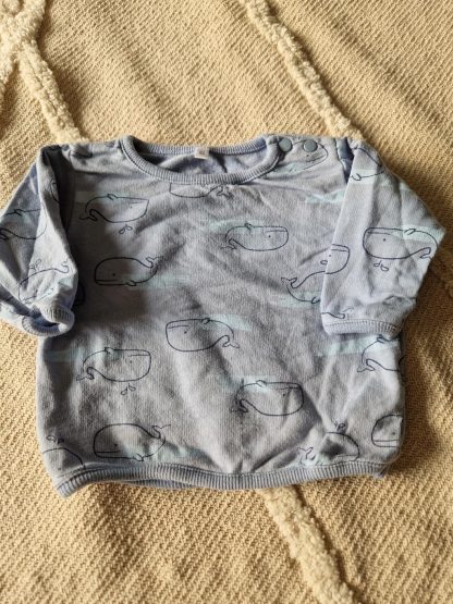 062 - Sweatertje blauw walvis (1023bab)