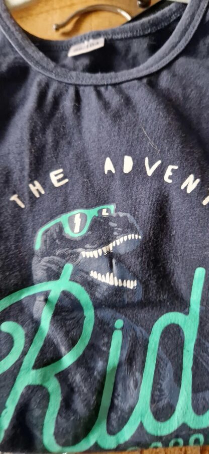 098 104 - Mouwloos shirt dino (1124natjun) - Afbeelding 3
