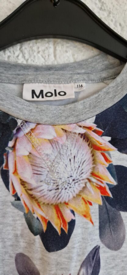 116 - Molo sweatshirtje grijs bloemen (1224mixbak) - Afbeelding 4
