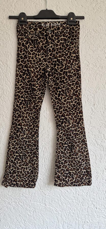 140 - Blue Ridge panterbroek flare (1025jac)