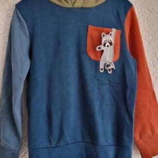 128 - C&A hoodie 3 kleuren (1025jac)