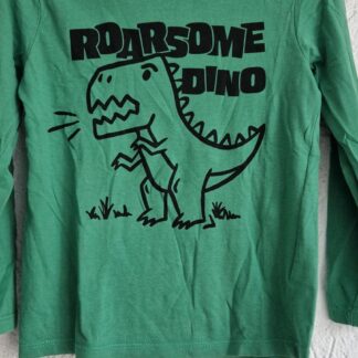 110 116 - H&M shirt groen dino (1025jac)