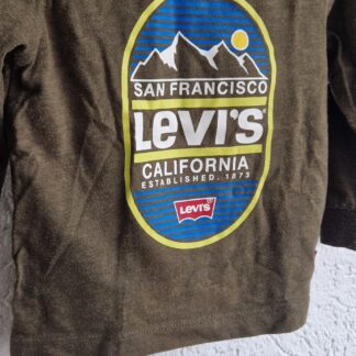 074 - Levi's shirt mosgroen print (0126zutb)