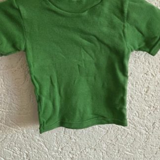068 - Bini vintage shirtje groen (0326ut)