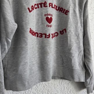 164 - Zara sweater grijs print in rood (0426mi)