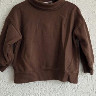 104 - Zara sweater bruin (0826ij)
