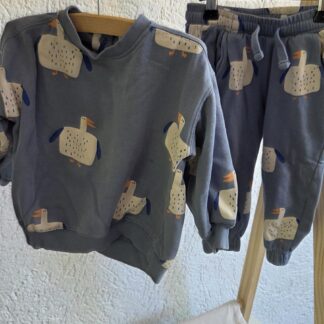 086 - Hema set blauw eend (1026od)