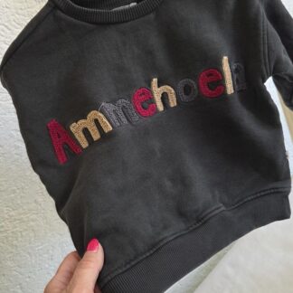 080 - Ammehoela sweater antraciet (1026od)