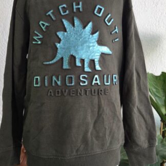 122 128 - Europe Kids sweater dino (1026jac)