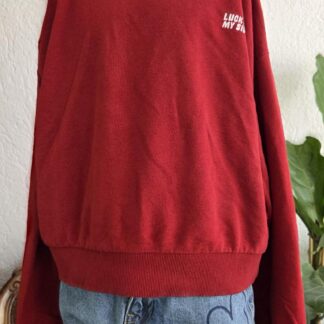 146 152 - WE sweater rood (1026jac)