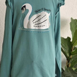 146 152 - WE longsleeve zwaan turkooise (1026jac)